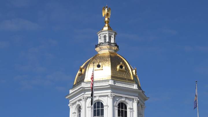 Ayotte's COGE committee issues government efficiency recommendations