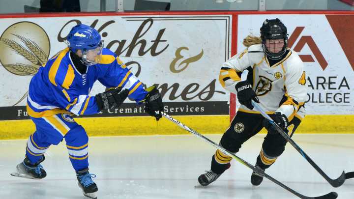 Hockey: SDAHA season off & running for Watertown Lakers, Aberdeen Cougars