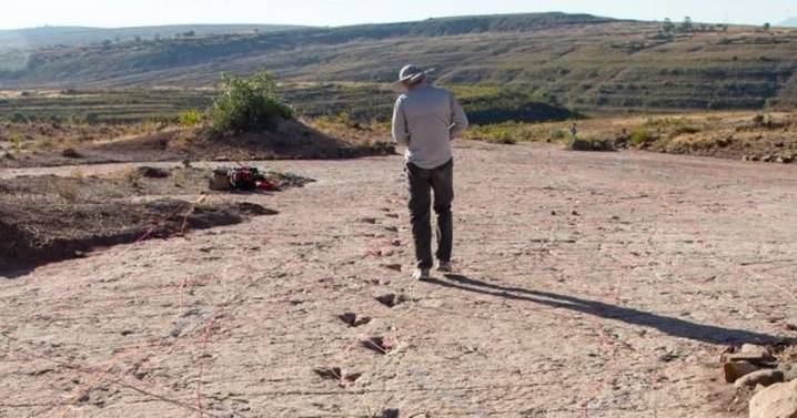 Scientists discover 'dinosaur freeway' in huge world