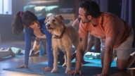 'Merv' Review: An Adorable Terrier Can't Enliven Wooden Rom