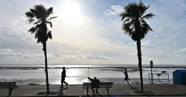 Dinosaur-disguised fly-tipper avoids hefty fine 