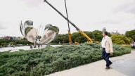 Jorge Macri relanza la Floralis Genérica y convoca a un festejo abierto