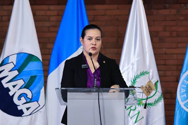 Piden en Guatemala articulación para enfrentar degradación del suelo