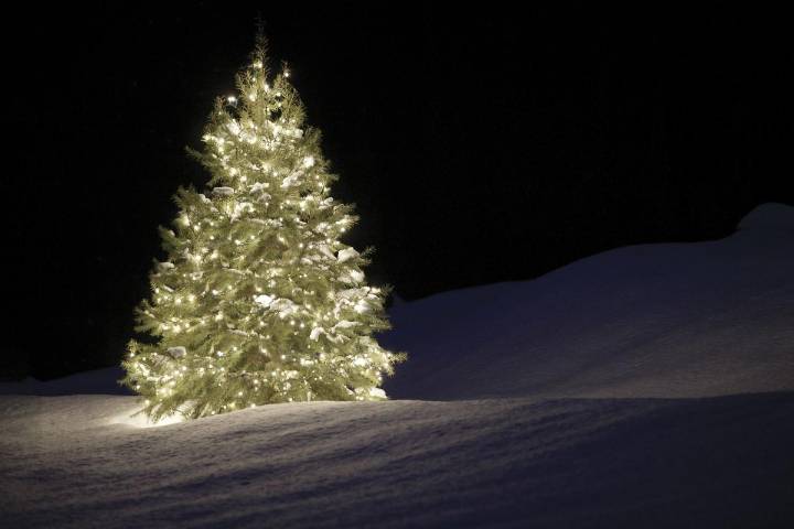 Exploring Unique Christmas Traditions In Each U.S. State