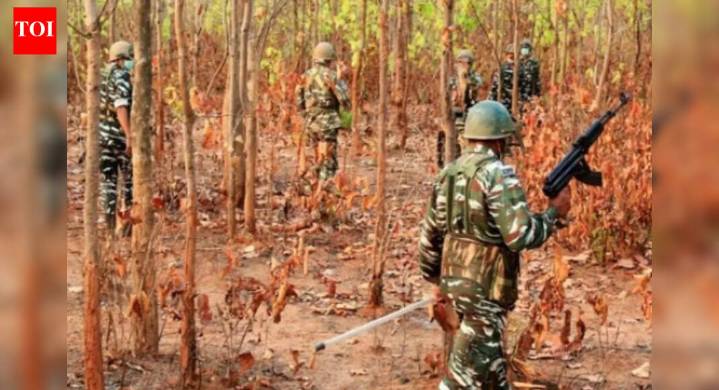 12 Reds, 3 cops dead as forces push deeper into Bastar; 268 Maoists killed so far in 2025