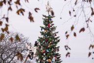 This week: Defense policy bill on the move as Capitol Christmas tree arrives