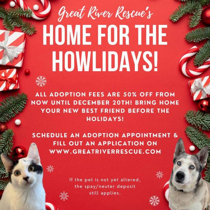 Great River Rescue offering pet adoption discount through Dec. 20