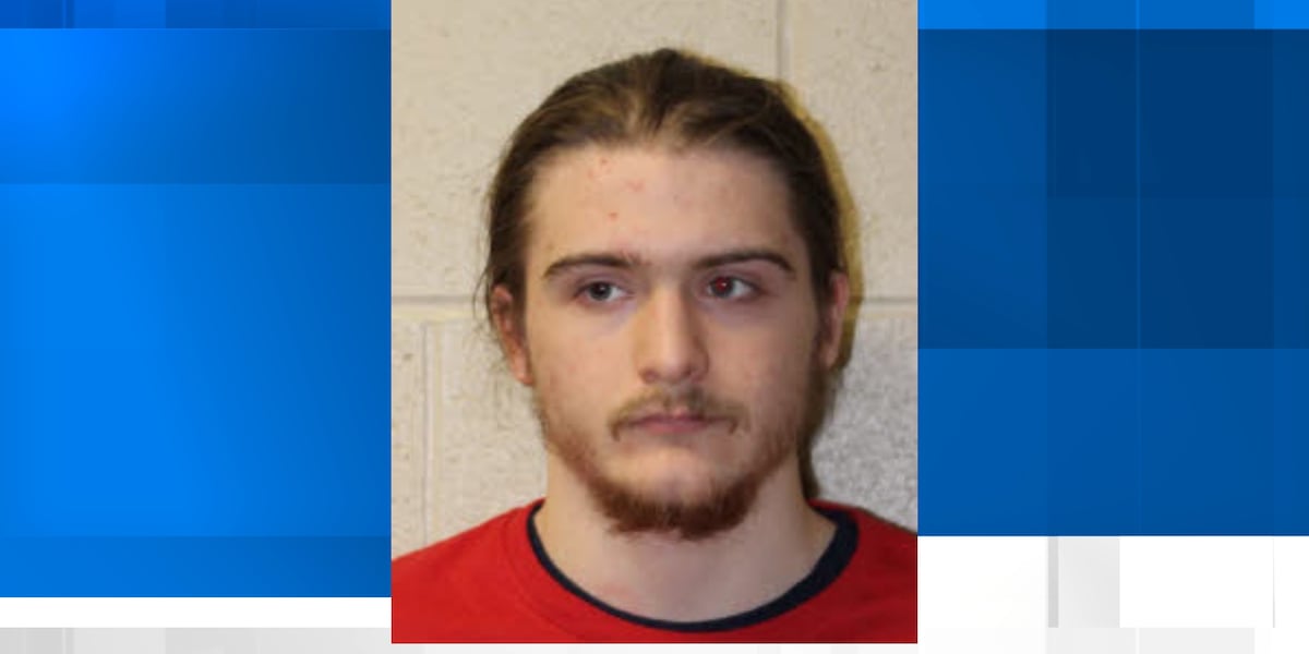 Athens teen indicted on terrorism, attempted murder charges in plot targeting high school