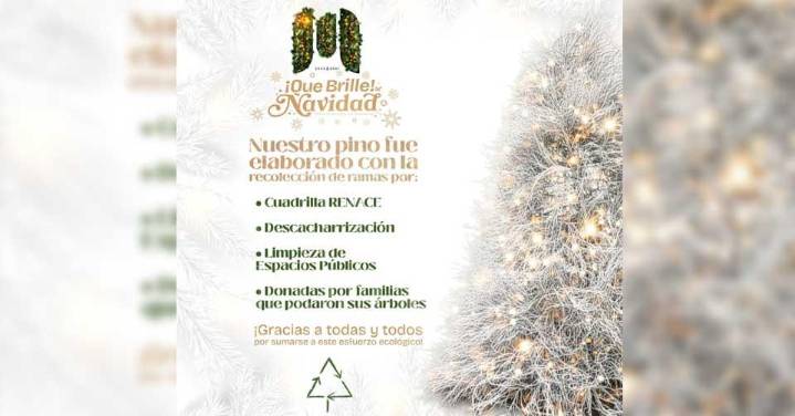 Matamoros enciende una Navidad sustentable con su pino ecológico en la plaza principal