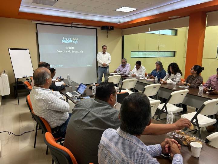 Impulsan SADER y FIRA nuevos créditos para productores de sorgo en Tamaulipas