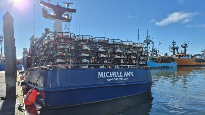 Oregon’s commercial crabbers begin season, without an agreed