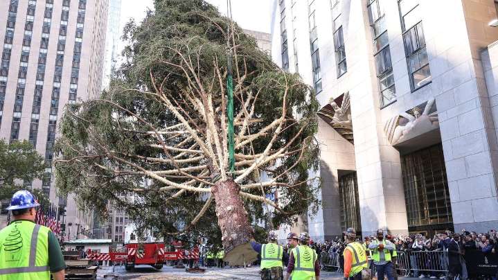 Rockefeller Center Christmas tree, Big Duck in Flanders lightings: What to know