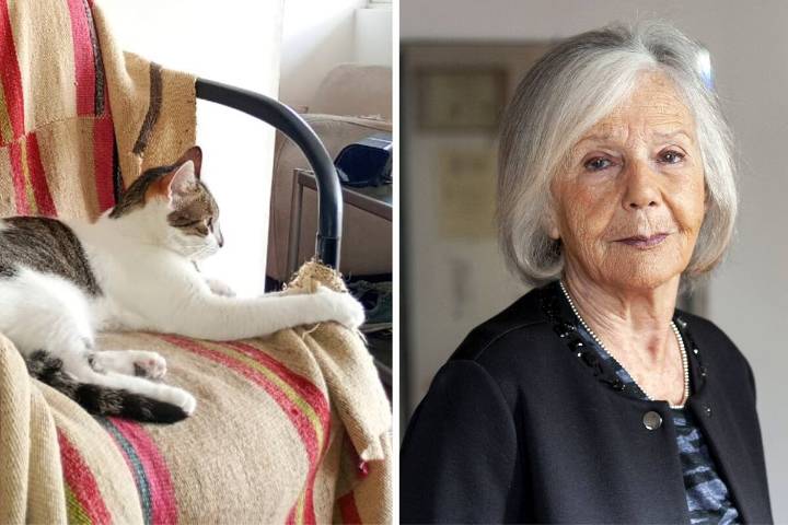Una asociación civil, preocupada por la gata de Beatriz Sarlo