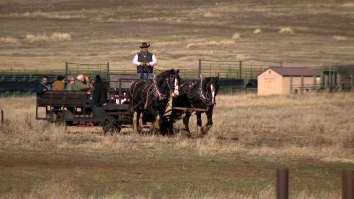 Warm weather impacts elk-viewing sleigh rides in Cache Valley