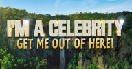 I'm A Celeb star lands huge job on This Morning and it's not Angry Ginge