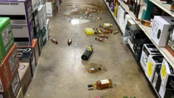 Un mapache se emborrachó en una tienda de licores y se desmayó en el baño