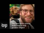 This man carries shelter dogs to help get them adopted
