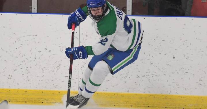 H.S. ICE HOCKEY: B/ND splits at Bethlehem Thanksgiving Tournament