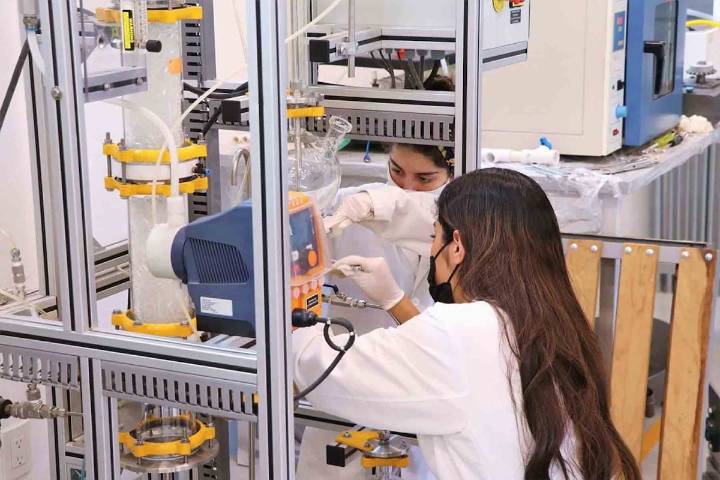 Integrando Curiosidad y Creatividad en la Cultura Organizacional