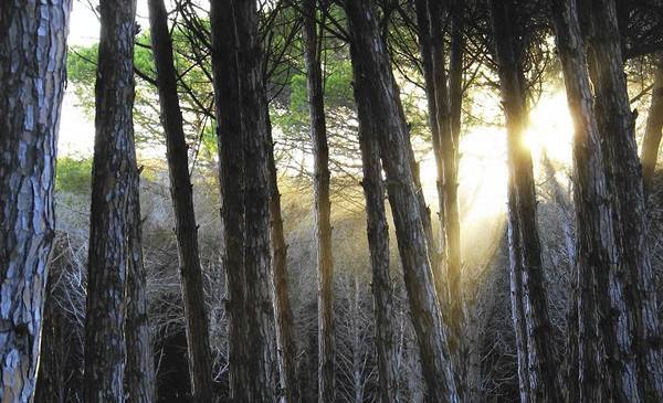 Mar, viñedos y tradiciones gauchas: la escapada de 3 días
