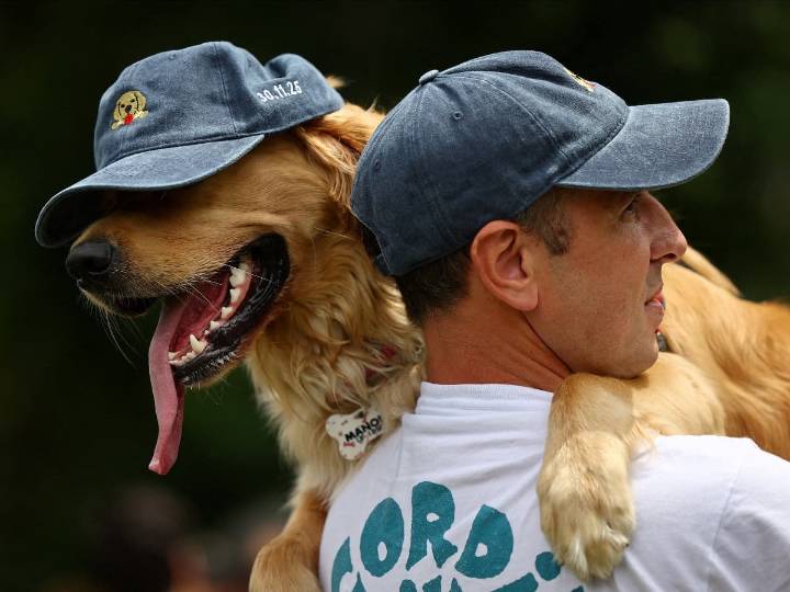 Más de 2 mil golden retrievers se reúnen en Buenos Aires para batir récord