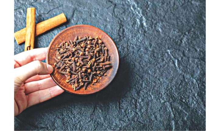 Clove At First Sight