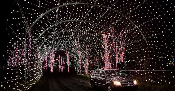 Four million lights brighten Shady Brook Farm for the holidays