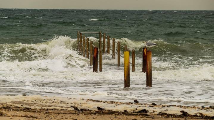 Wind advisory issued for LI: Up to 50 mph gusts through Friday morning