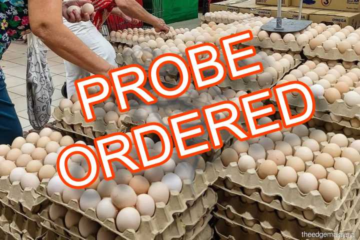 J&K Govt orders probe after MLA flags presence of banned drug residues in eggs