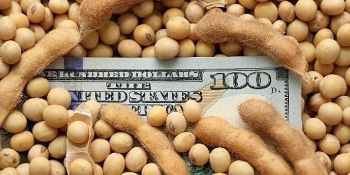 Baja de retenciones al agro: qué impacto tendrá sobre el dólar y cuál será el costo fiscal de la medida