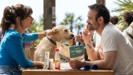 Prime Video's new movie is a charming rom-com starring an adorable dog — and it's already crashed the top 10