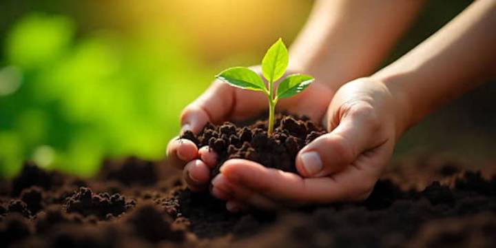 Huixquilucan abre convocatoria para Consejo Ambiental COMPROBIDES