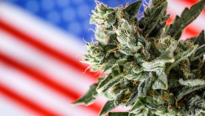 Sugieren que legalización del cannabis se relaciona con fuerte aumento de emergencias psiquiátricas en adolescentes