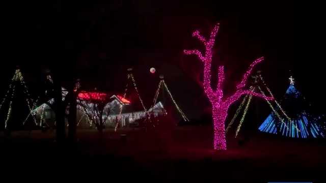 Family's Christmas light display supports their local food bank