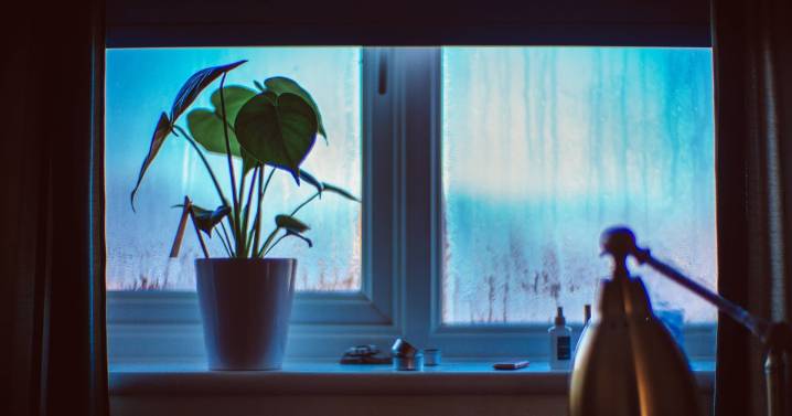 'Very simple' method to clear condensation from windows uses just 1 common item