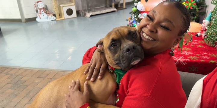 Finding Solutions: Local brothers deliver Christmas surprise to Augusta Animal Services