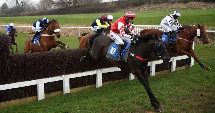 Newsboy’s horseracing tips for Thursday’s four meetings, including Leicester Nap