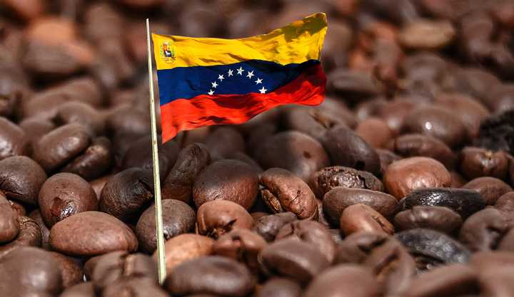 Un ranking eleva el sabor y remueve el entusiasmo por el café venezolano