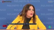 Ángeles Férriz (PSOE Andalucía) estalla tras los casos de acoso sexual en el partido: "Estoy hasta el moño de puteros y acosadores"