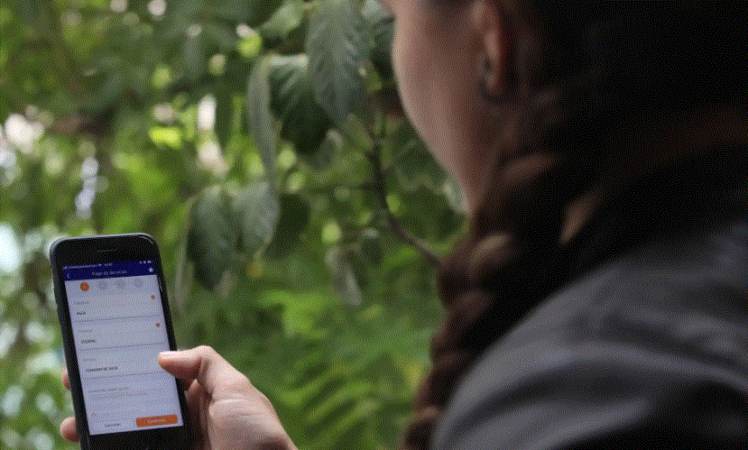 Billeteras digitales crecen 20 veces en cuatro años, según el BCRP