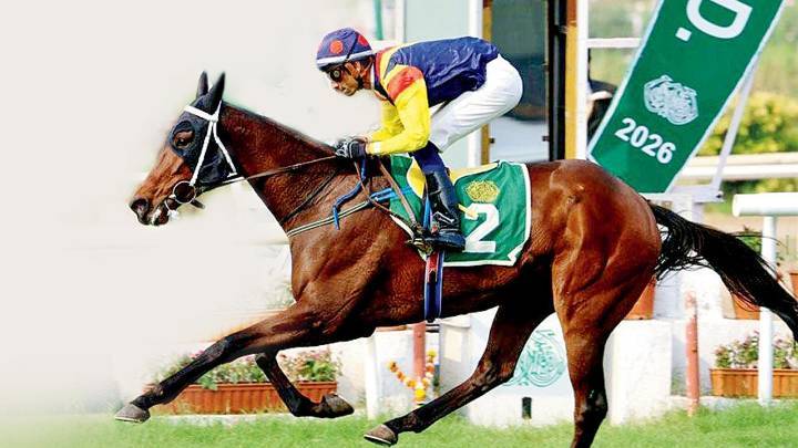 Mumbai horse racing: Fynbos for Indian 1000 Guineas (Gr 1)