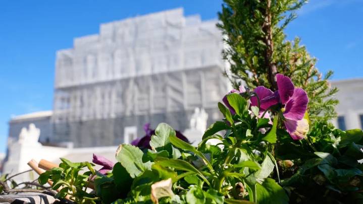 Supreme Court allows Texas to use a congressional map favorable to Republicans in 2026