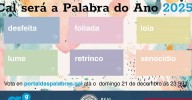 "Desfeita", "foliada", "loia", "lume", "retrinco" y "xenocidio", finalistas a Palabra do Ano 2025 de la RAG