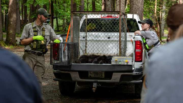 California National Parks At Increasing Risk Of Criminals' Multi
