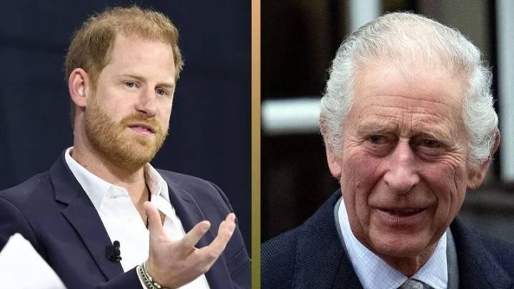 Report Says Camilla Angered as King Charles Backs Kate in Harry Dispute