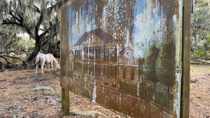 What makes Florida, Florida?: One clue, it's not Disney World