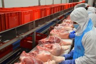 Litera Meat reclama extender la regionalización a Japón y Filipinas para detener la PPA