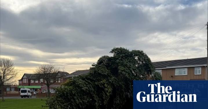 Two men arrested after Christmas tree in Durham village chopped down