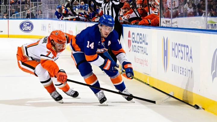 Islanders' Bo Horvat exits Ducks game with lower