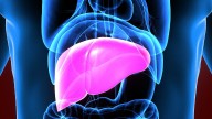 Discrepancy in Parent-, Child-Reported Outcomes Affects Child's Quality of Life After Liver Transplant